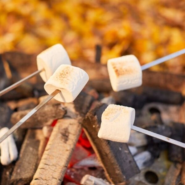 CVMallow Marshmallow (White) 1kg - Image 2